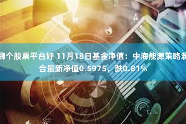 哪个股票平台好 11月18日基金净值：中海能源策略混合最新净值0.5975，跌0.81%