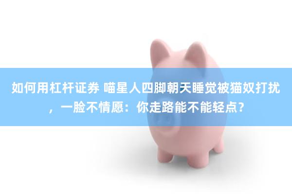 如何用杠杆证券 喵星人四脚朝天睡觉被猫奴打扰，一脸不情愿：你走路能不能轻点？