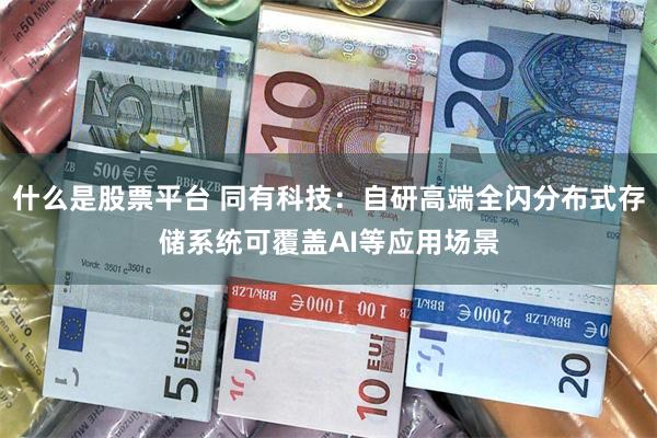 什么是股票平台 同有科技：自研高端全闪分布式存储系统可覆盖AI等应用场景