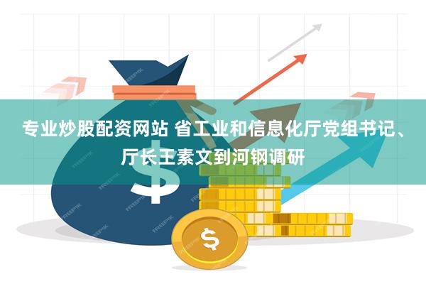专业炒股配资网站 省工业和信息化厅党组书记、厅长王素文到河钢调研