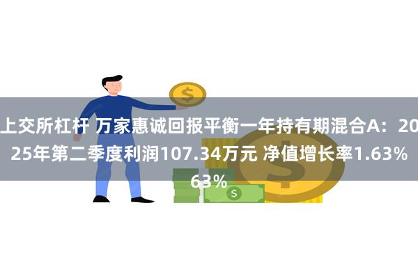 上交所杠杆 万家惠诚回报平衡一年持有期混合A：2025年第二季度利润107.34万元 净值增长率1.63%