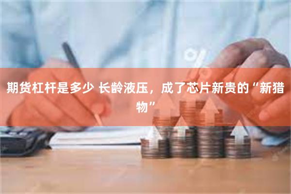 期货杠杆是多少 长龄液压，成了芯片新贵的“新猎物”