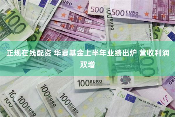 正规在线配资 华夏基金上半年业绩出炉 营收利润双增