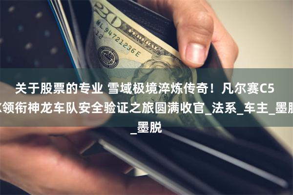 关于股票的专业 雪域极境淬炼传奇！凡尔赛C5 X领衔神龙车队安全验证之旅圆满收官_法系_车主_墨脱