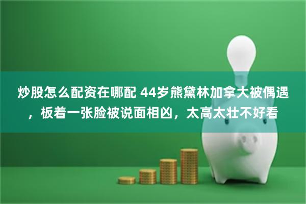 炒股怎么配资在哪配 44岁熊黛林加拿大被偶遇，板着一张脸被说面相凶，太高太壮不好看